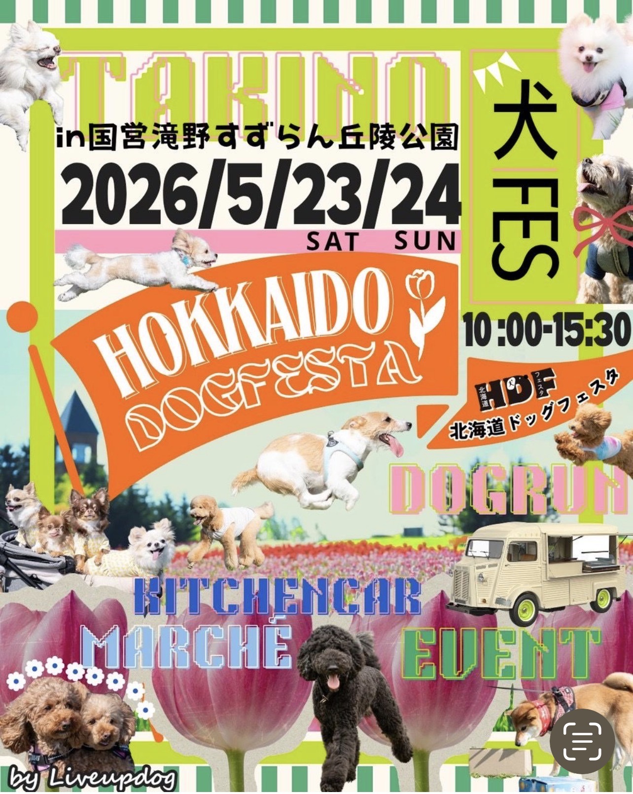 🌷🐶春のおでかけにぴったり！わんちゃん大集合イベント開催